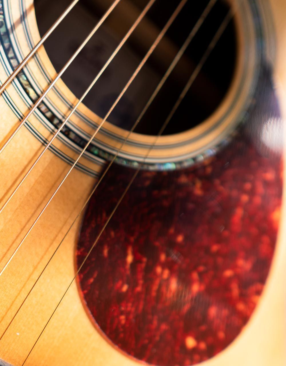 Акустическая гитара Sigma OMT-1 - купить в "Гитарном Клубе"