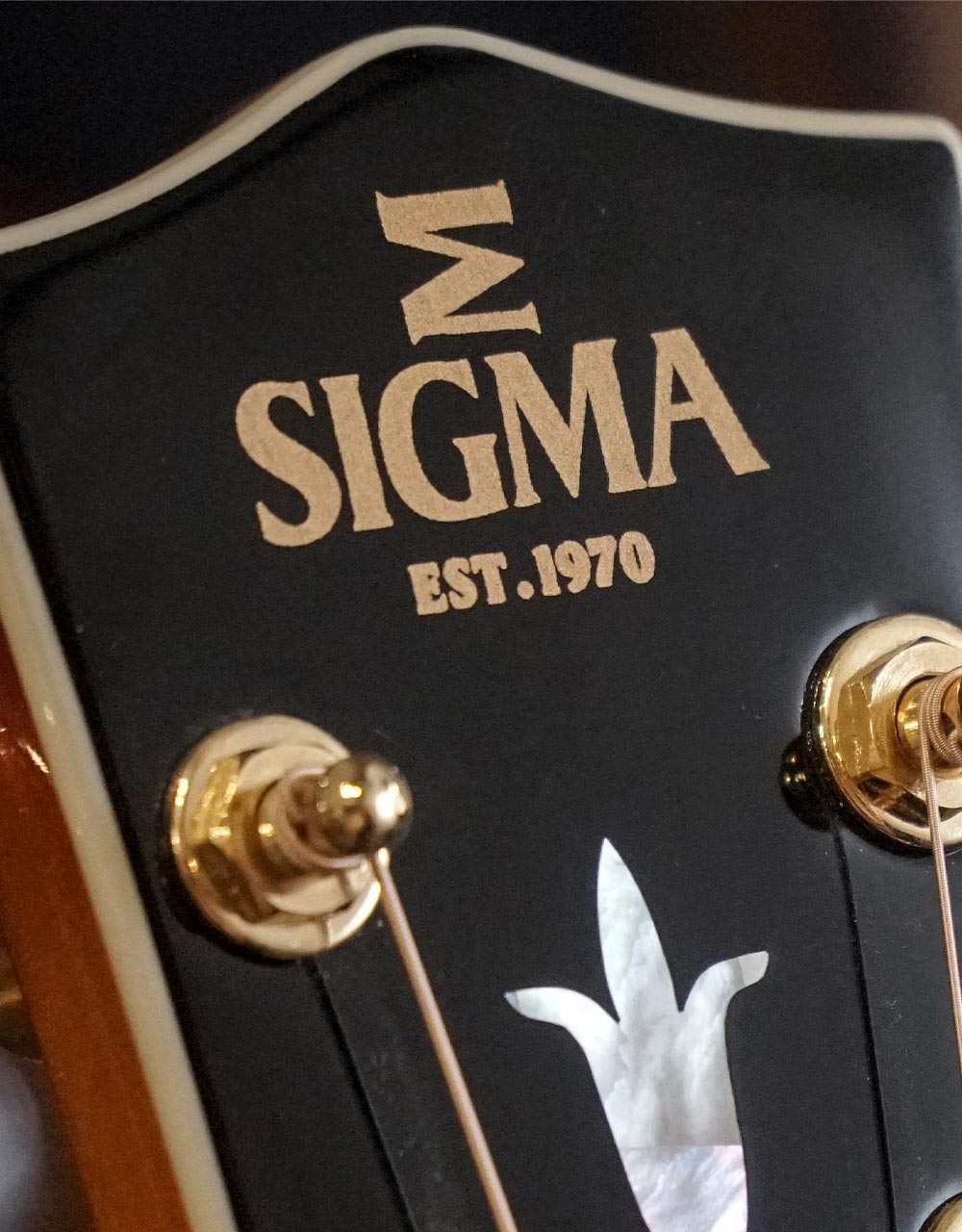 Электроакустическая гитара Sigma SGJA-SG200 - купить в "Гитарном Клубе"