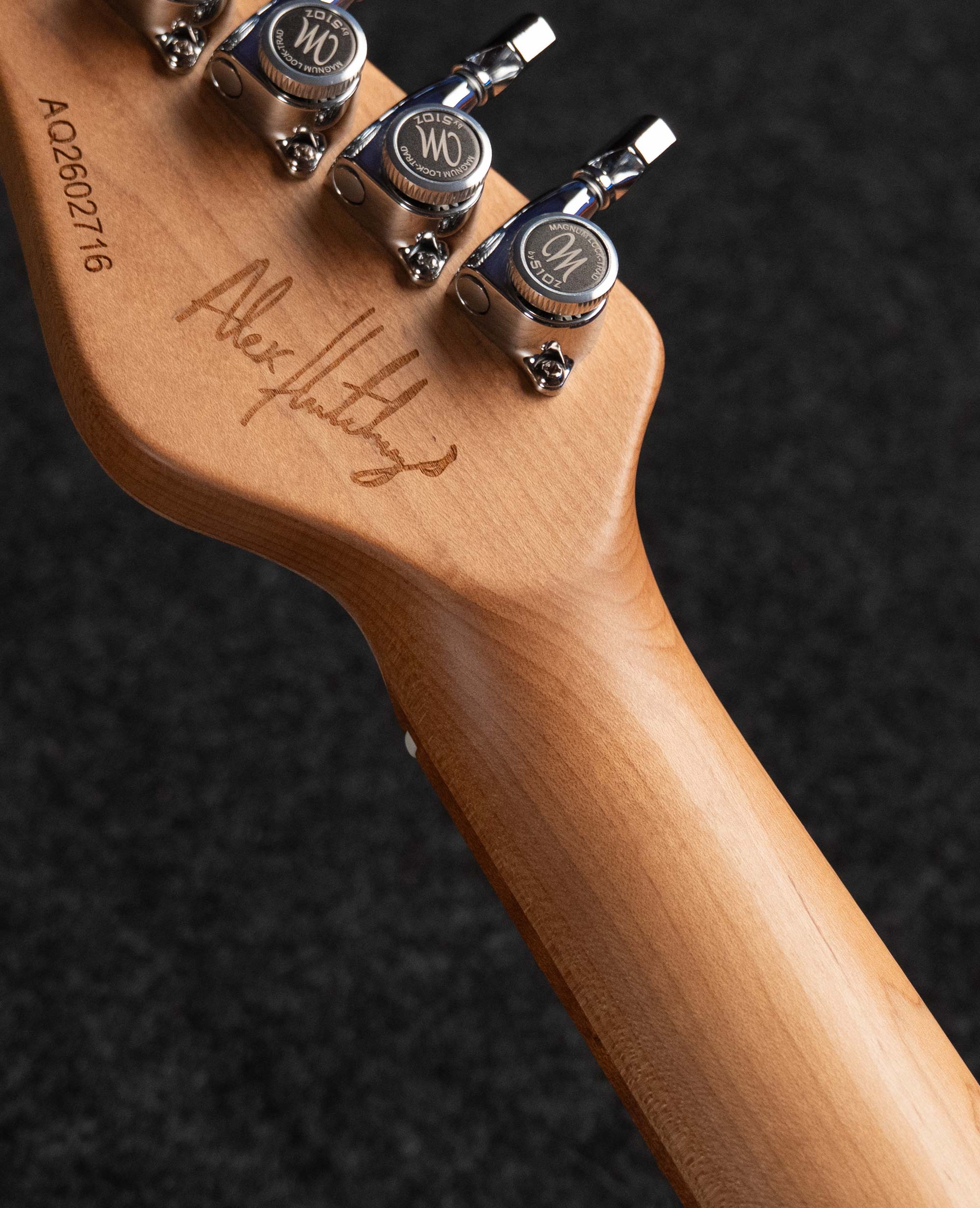 Электрогитара Mayones Aquila Emory 6 - купить в "Гитарном Клубе"