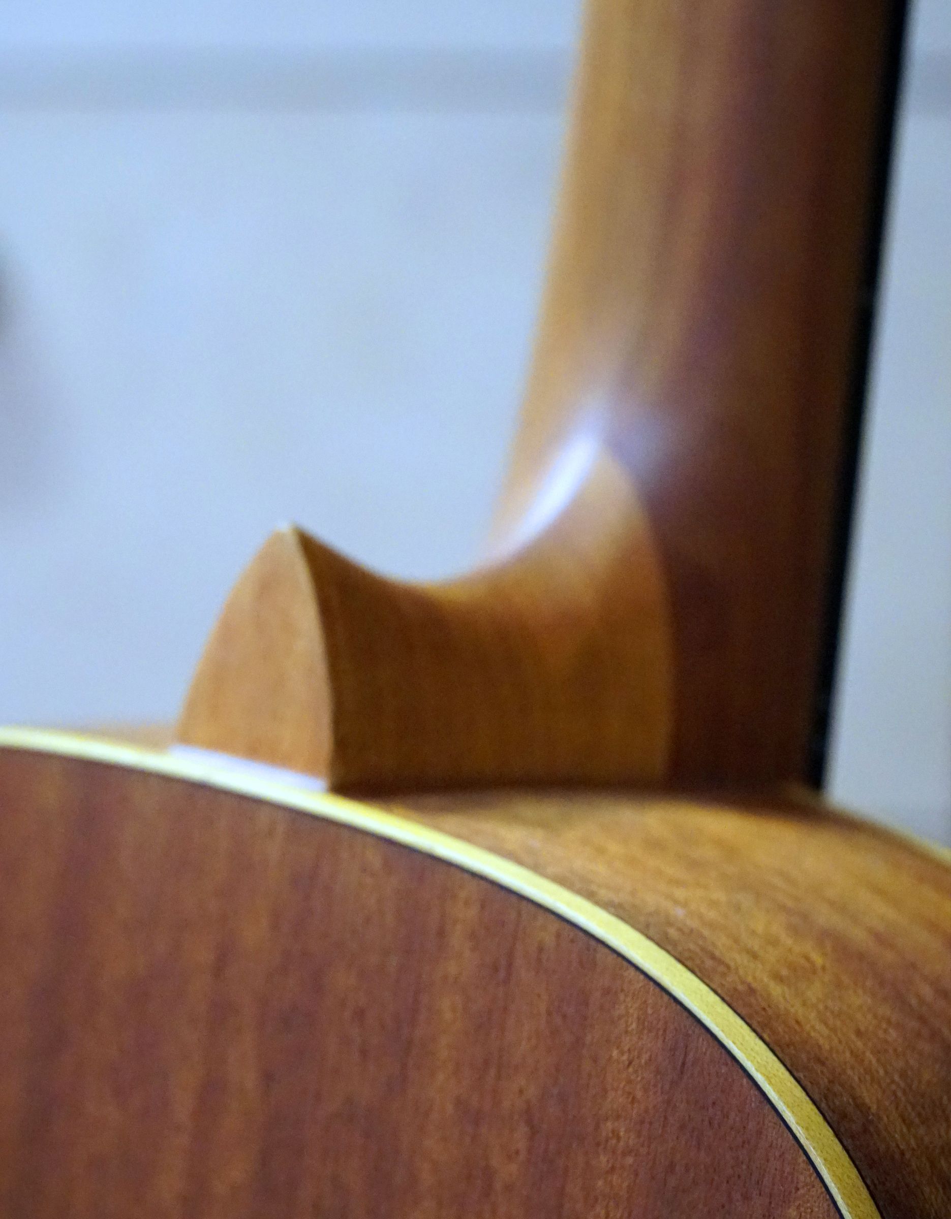 Классическая гитара Ortega R121 Family Series 3/4 - купить в "Гитарном Клубе"