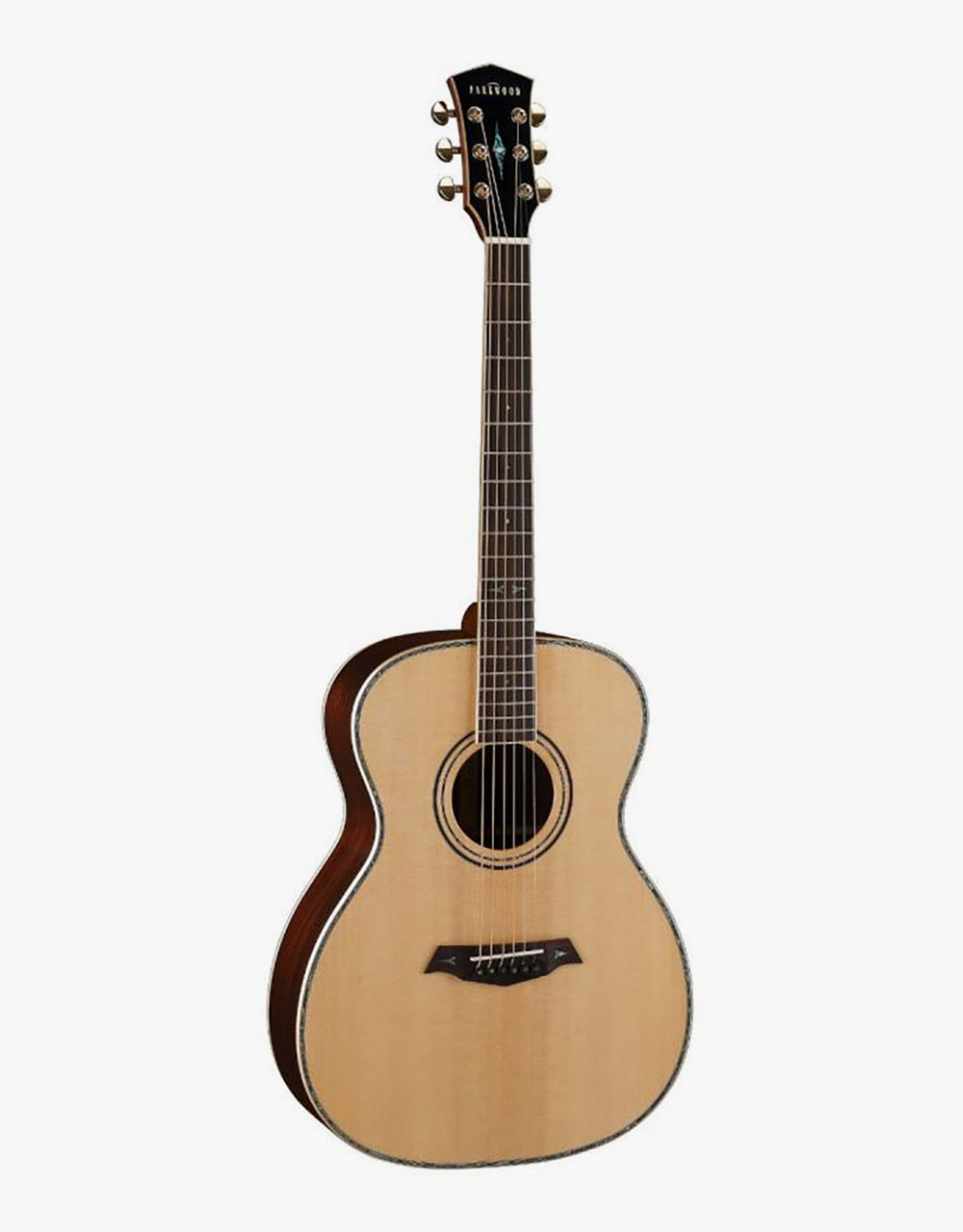Акустическая гитара Parkwood P820ADK - купить в "Гитарном Клубе"