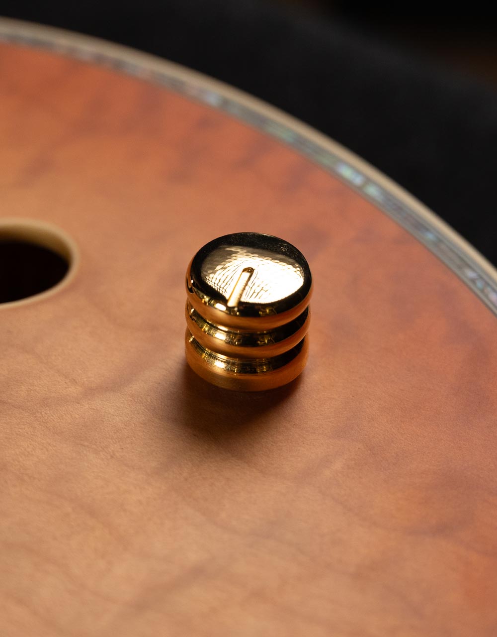 Полуакустическая гитара Peerless Jazz City - купить в "Гитарном Клубе"