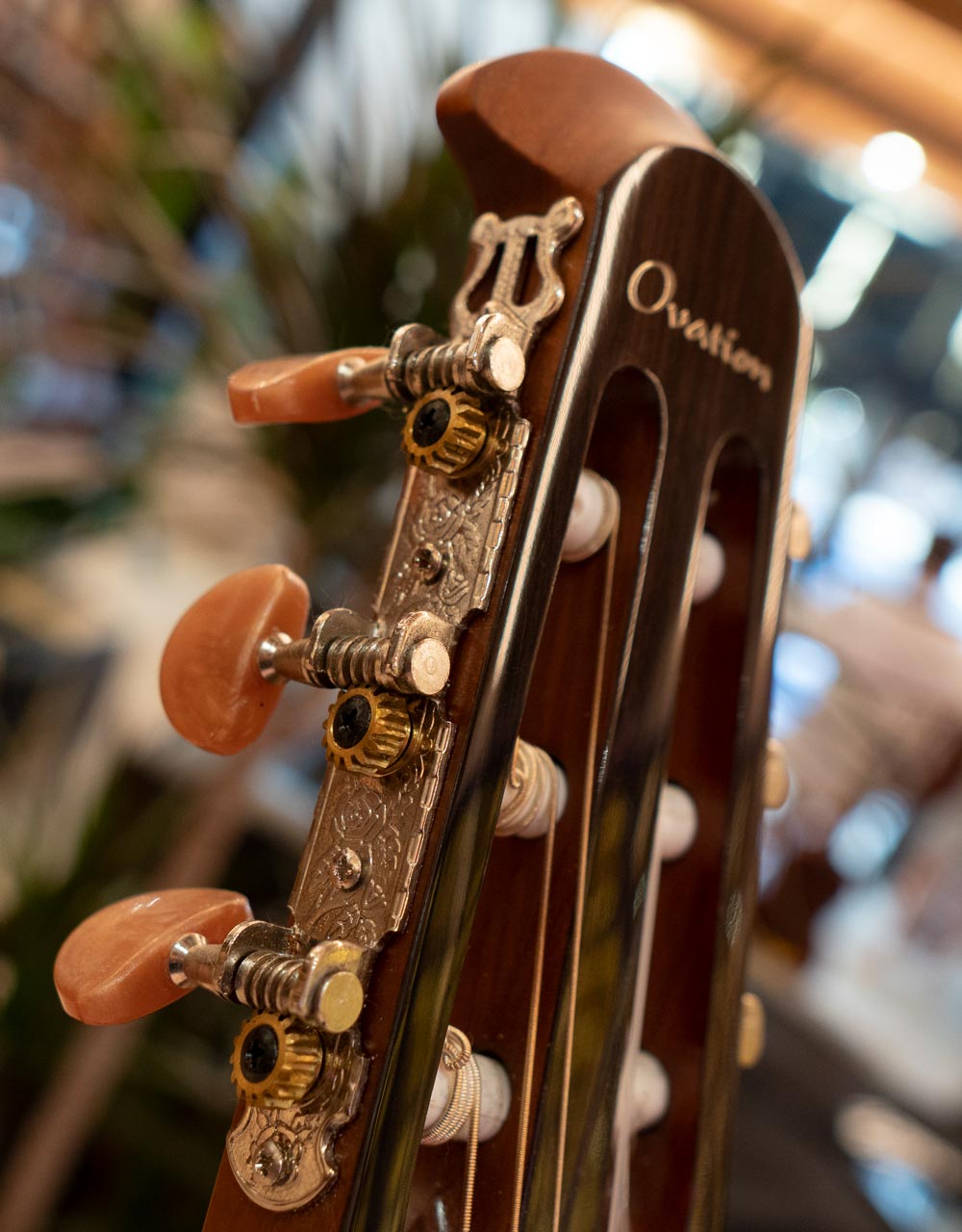 Классическая гитара Ovation CS24C-4 Celebrity Standard Mid Cutaway Natural - купить в "Гитарном Клубе"