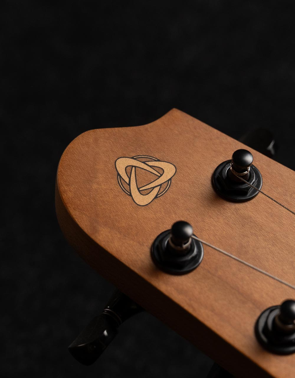 Электрогитара Covenant Custom Model Ate Bk - купить в "Гитарном Клубе"