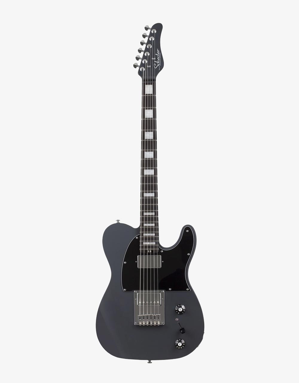 Электрогитара Schecter Pt Ex Dorian Gray - купить в "Гитарном Клубе"