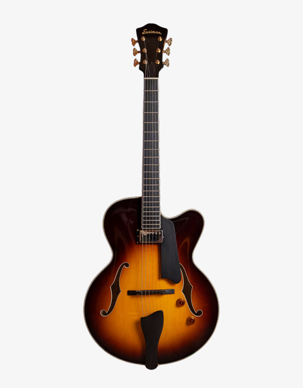 Полуакустическая гитара Eastman AR 503 CE’2020 - купить в "Гитарном Клубе"