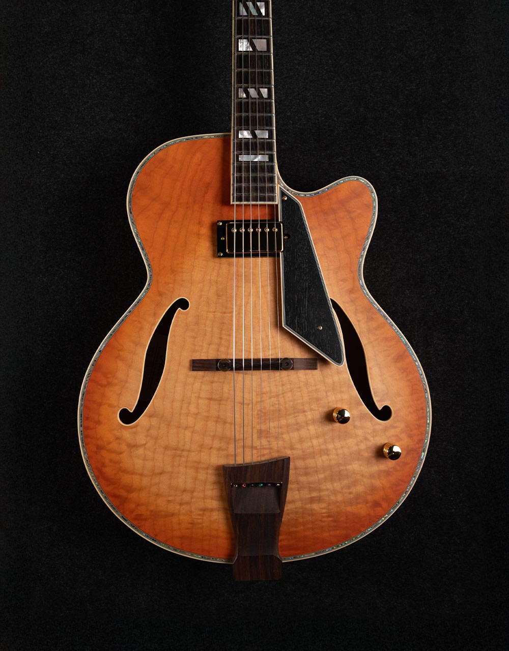 Полуакустическая гитара Peerless Jazz City - купить в "Гитарном Клубе"