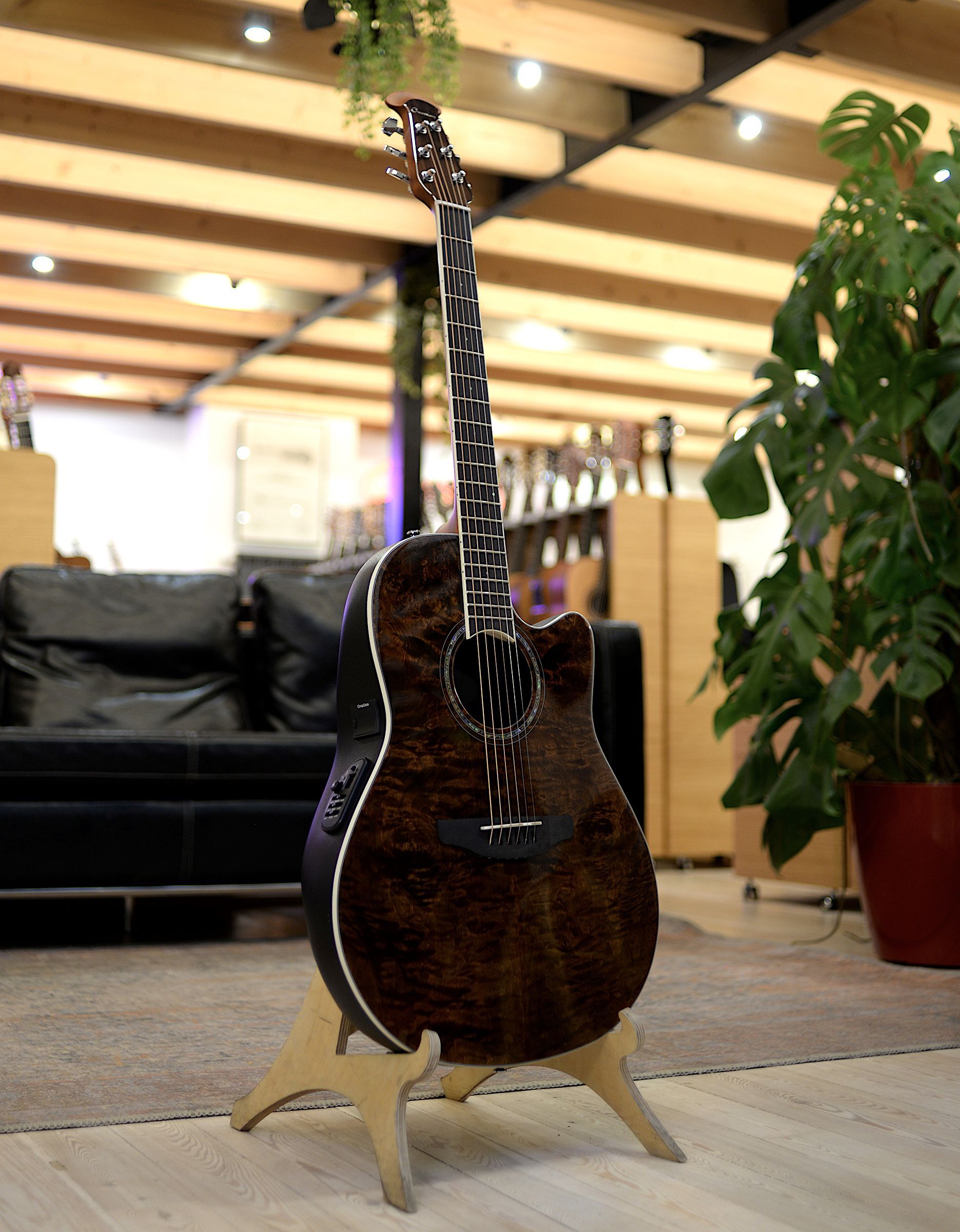 Электроакустическая гитара Ovation CS24P-NBM Celebrity Standard Plus Mid Cutaway Nutmeg Burled Maple - купить в "Гитарном Клубе"