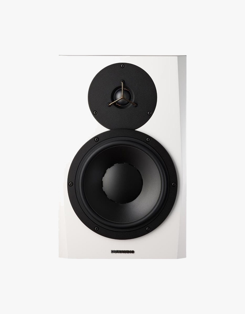 Студийный монитор Dynaudio LYD 8 B/W - купить в "Гитарном Клубе"