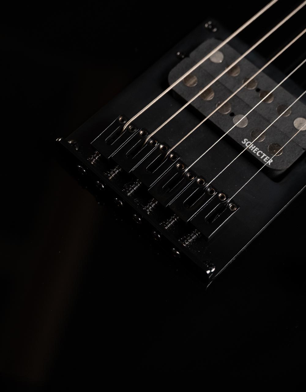 Электрогитара Schecter Pt Blk M\M - купить в "Гитарном Клубе"