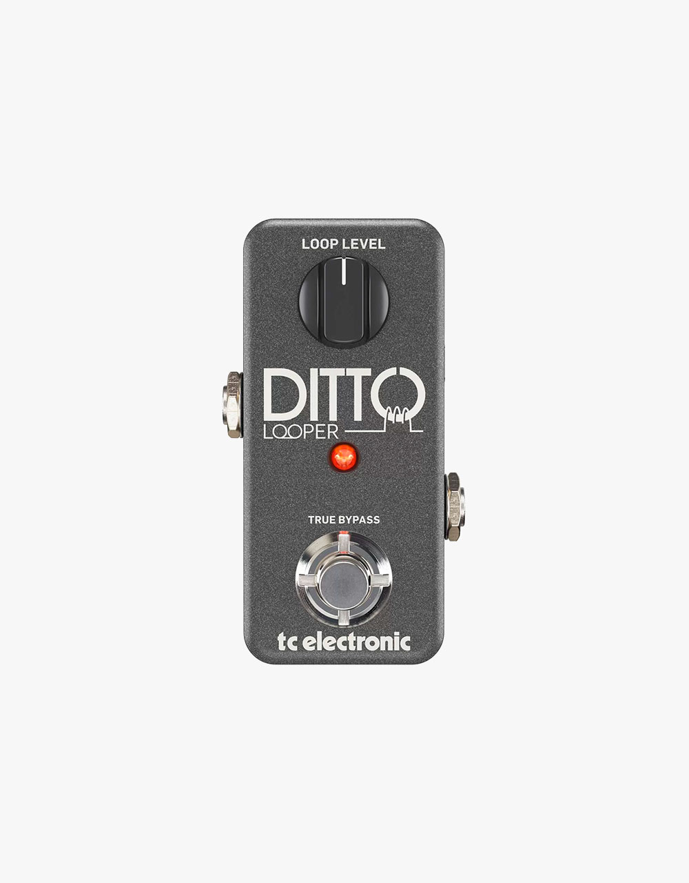 Гитарная педаль TC Electronic Ditto Looper - купить в "Гитарном Клубе"