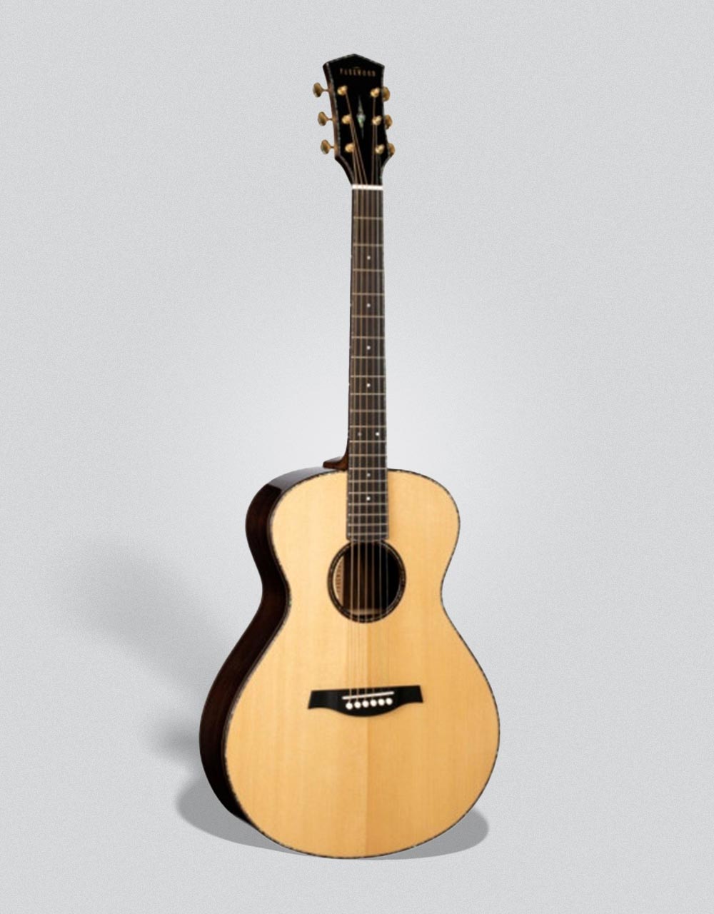 Электроакустическая гитара Parkwood P880-NAT - купить в "Гитарном Клубе"