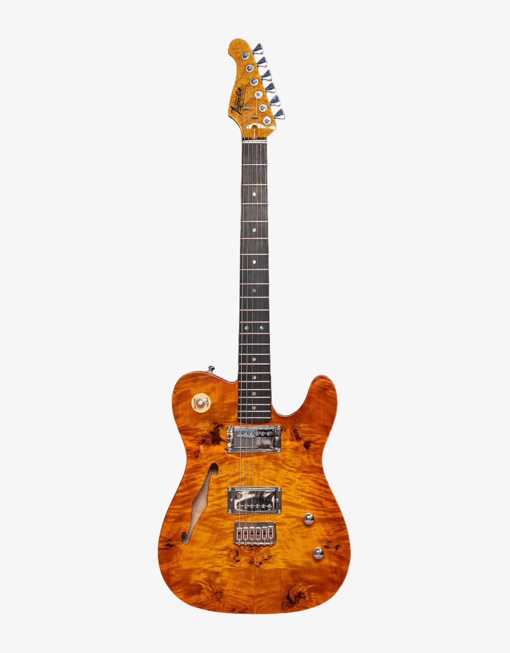 Электрогитара Inspector TT Semi-Hollow Custom  - купить в "Гитарном Клубе"