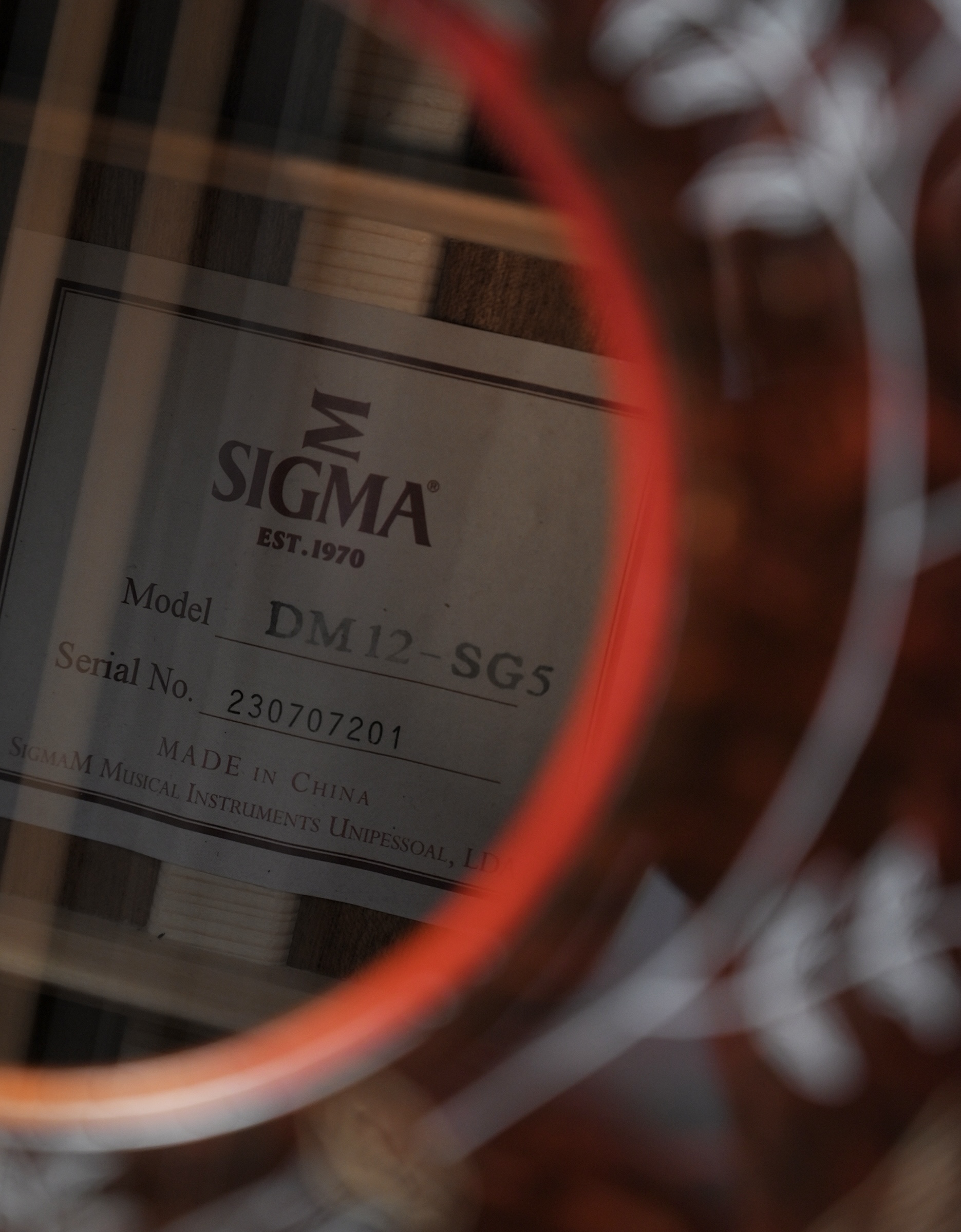 Электроакустическая 12-струнная гитара Sigma DM12-SG5 - купить в "Гитарном Клубе"