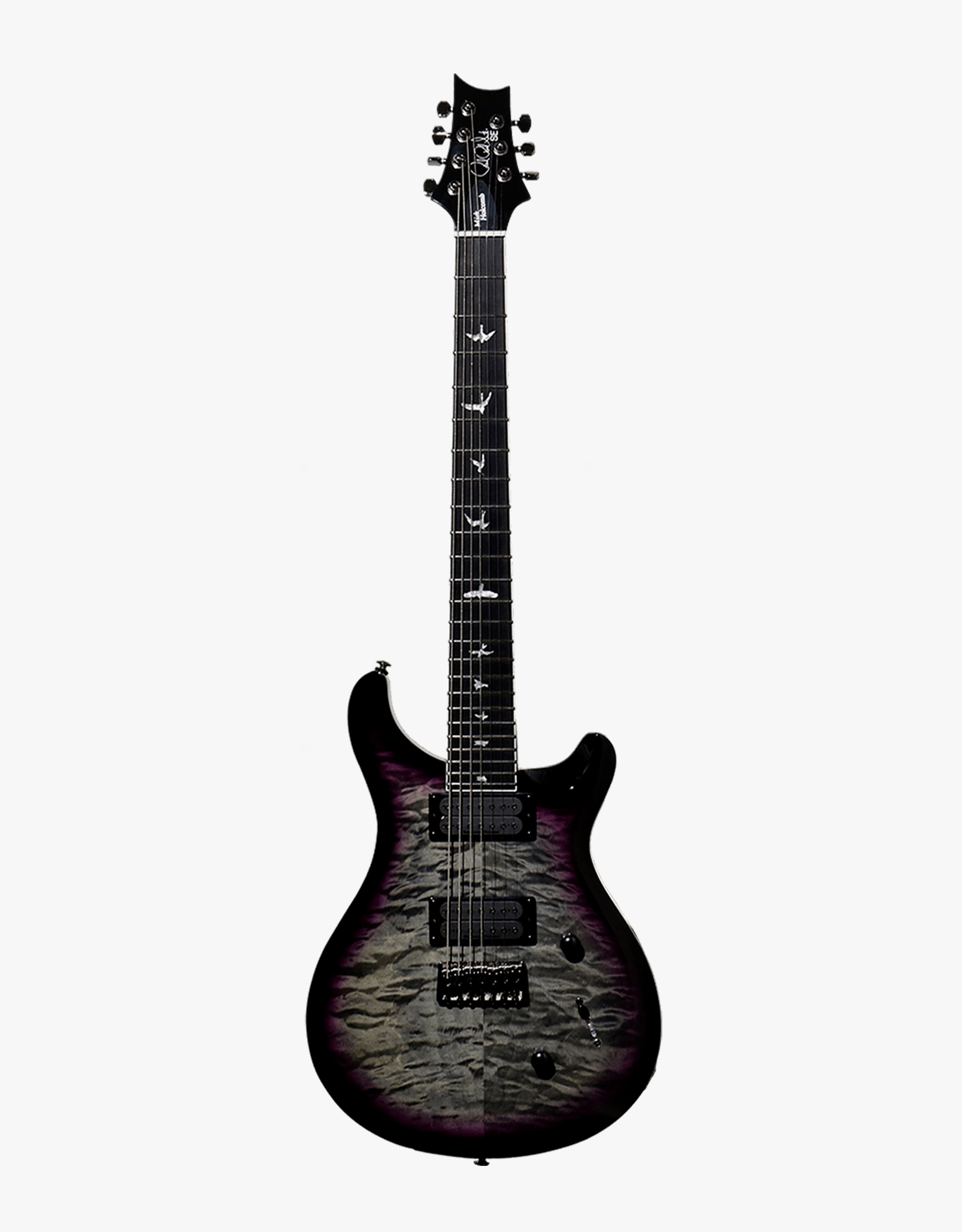 Электрогитара PRS SE MARK HOLCOMB SVN HOLCOMB BURST - купить в "Гитарном Клубе"
