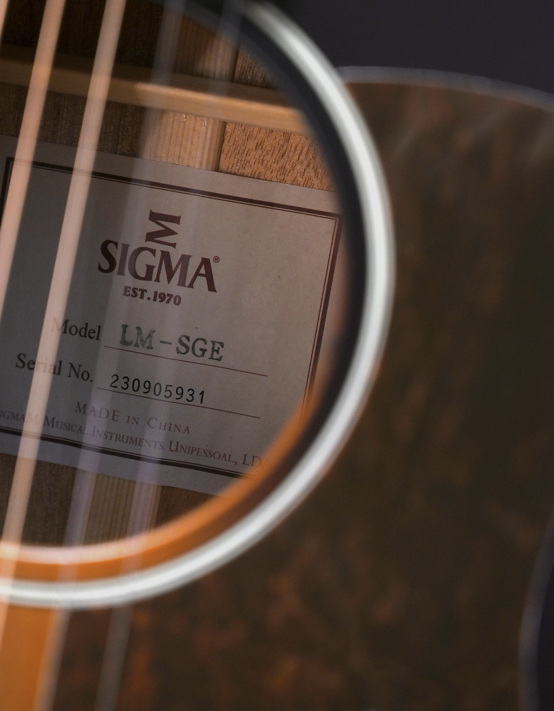 Электроакустическая гитара Sigma LM-SGE - купить в "Гитарном Клубе"