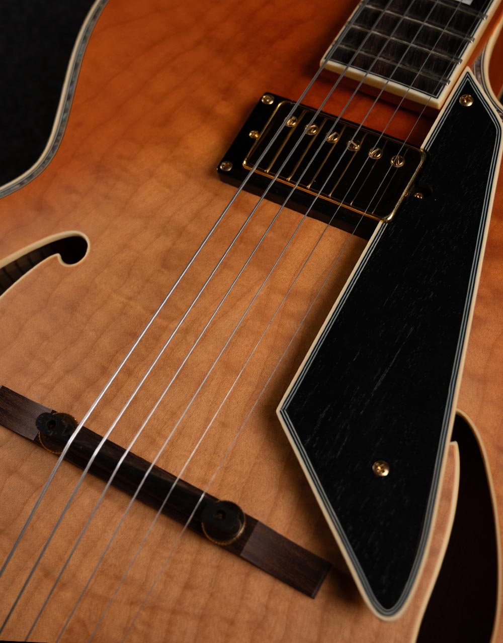 Полуакустическая гитара Peerless Jazz City - купить в "Гитарном Клубе"