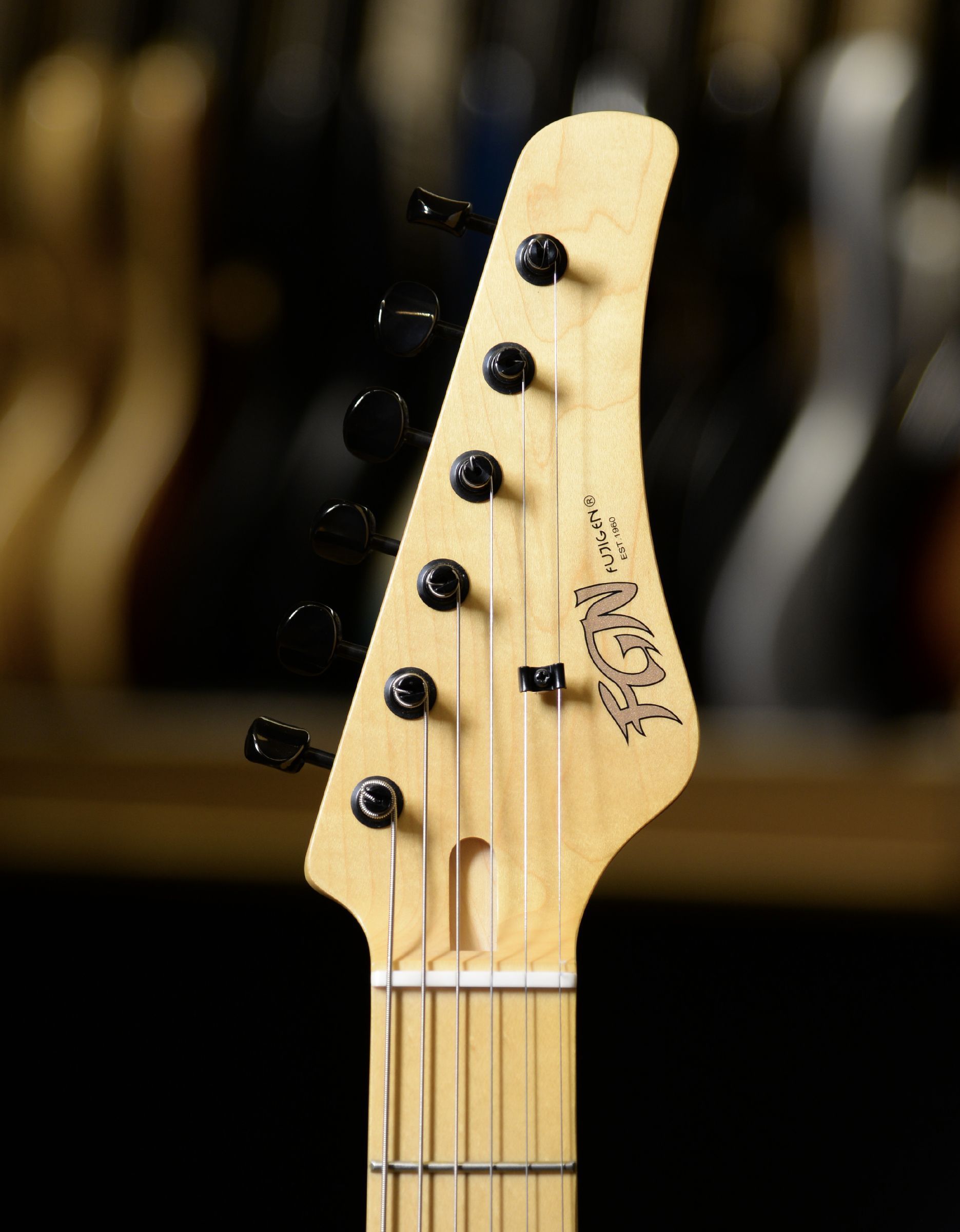 Электрогитара FGN Boundary Odyssey BOS2EW1MHH - купить в "Гитарном Клубе"