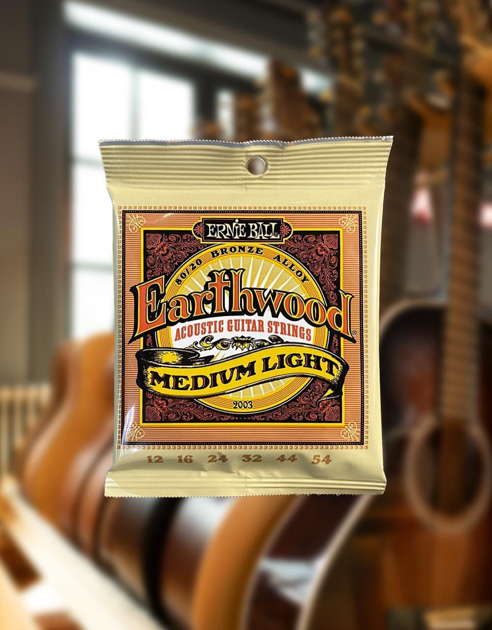 Струны для акустической гитары Ernie Ball 2003 Earthwood 80/20 Bronze, 12-54 - купить в "Гитарном Клубе"