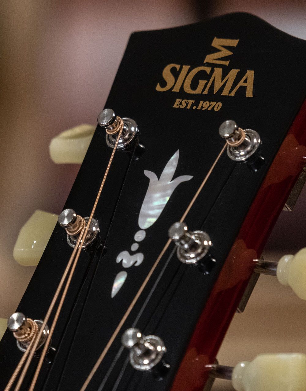 Акустическая гитара Sigma SDM-SG5 - купить в "Гитарном Клубе"