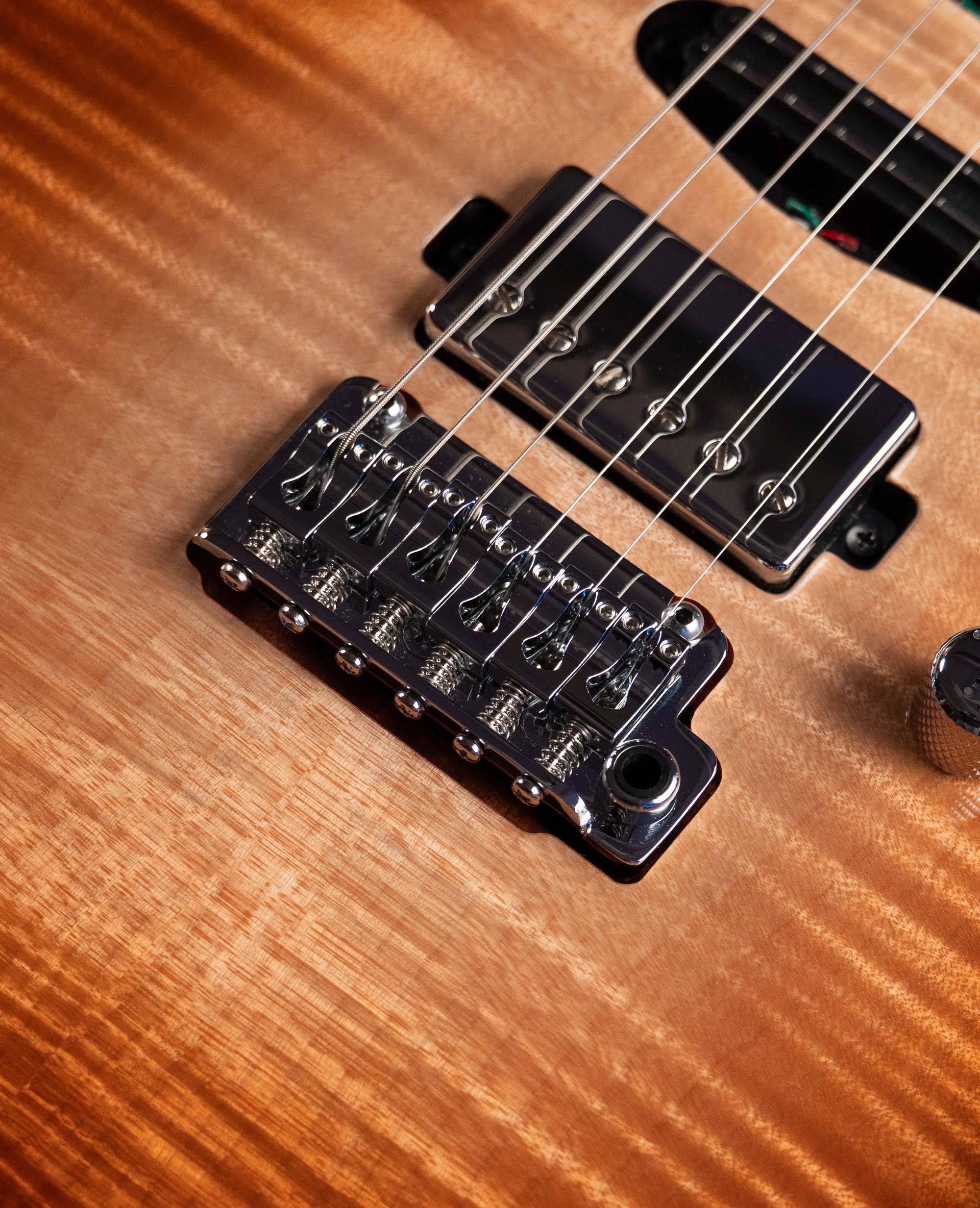 Электрогитара Mayones Aquila Emory 6 - купить в "Гитарном Клубе"