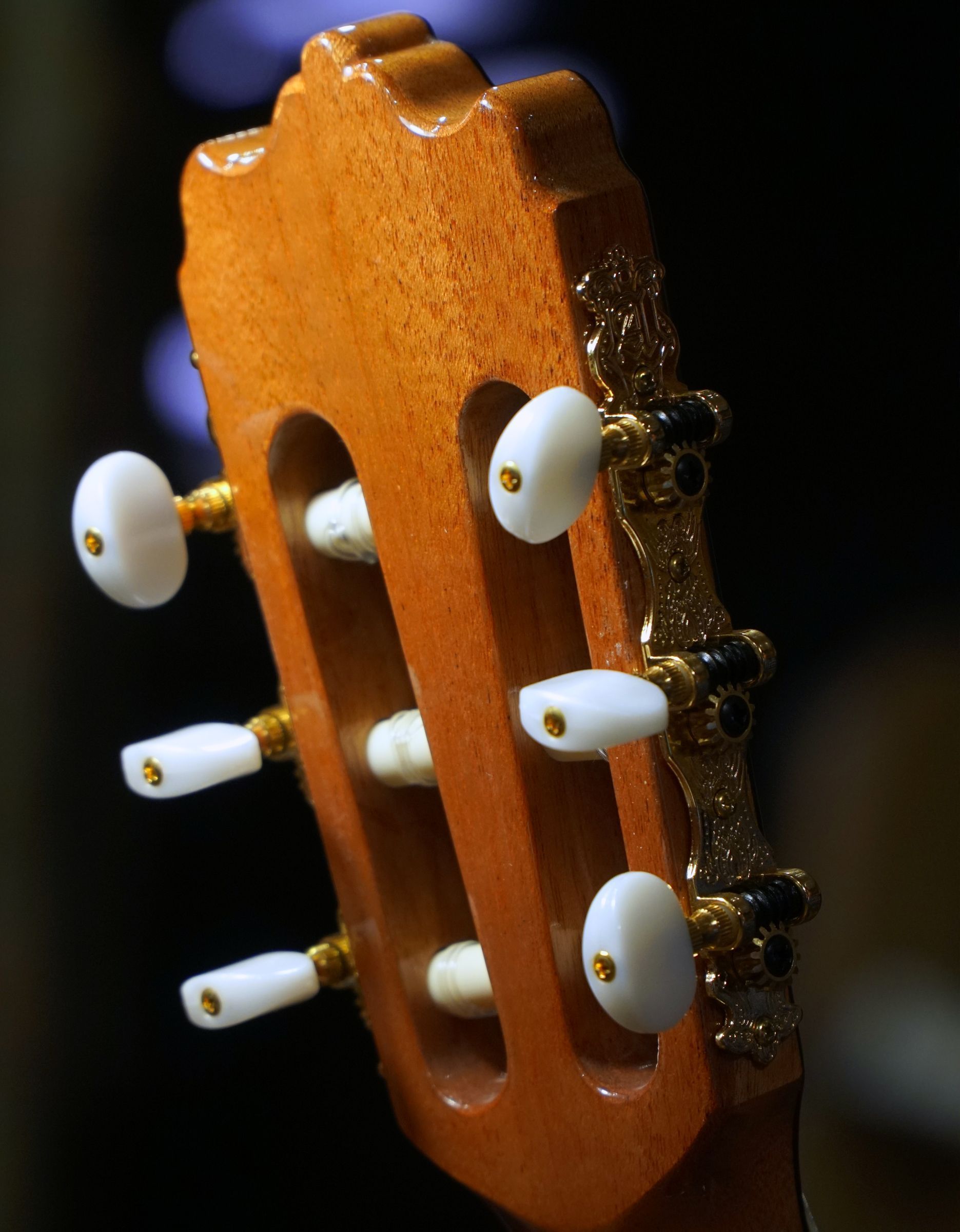 Классическая гитара Alhambra Mod. Ziricote - купить в "Гитарном Клубе"