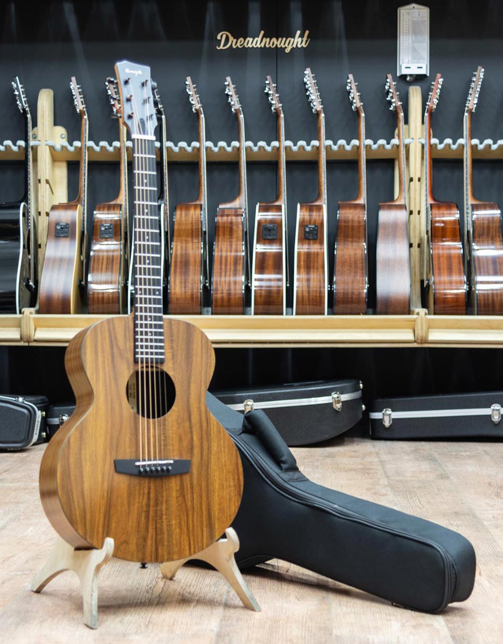 Акустическая гитара Enya EM-X1+ - купить в "Гитарном Клубе"