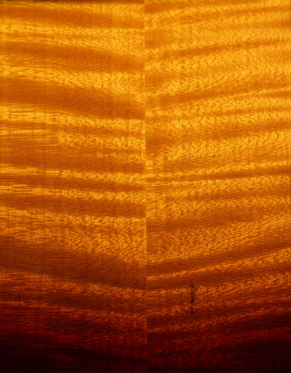 Электрогитара Jack 59 Les Paul