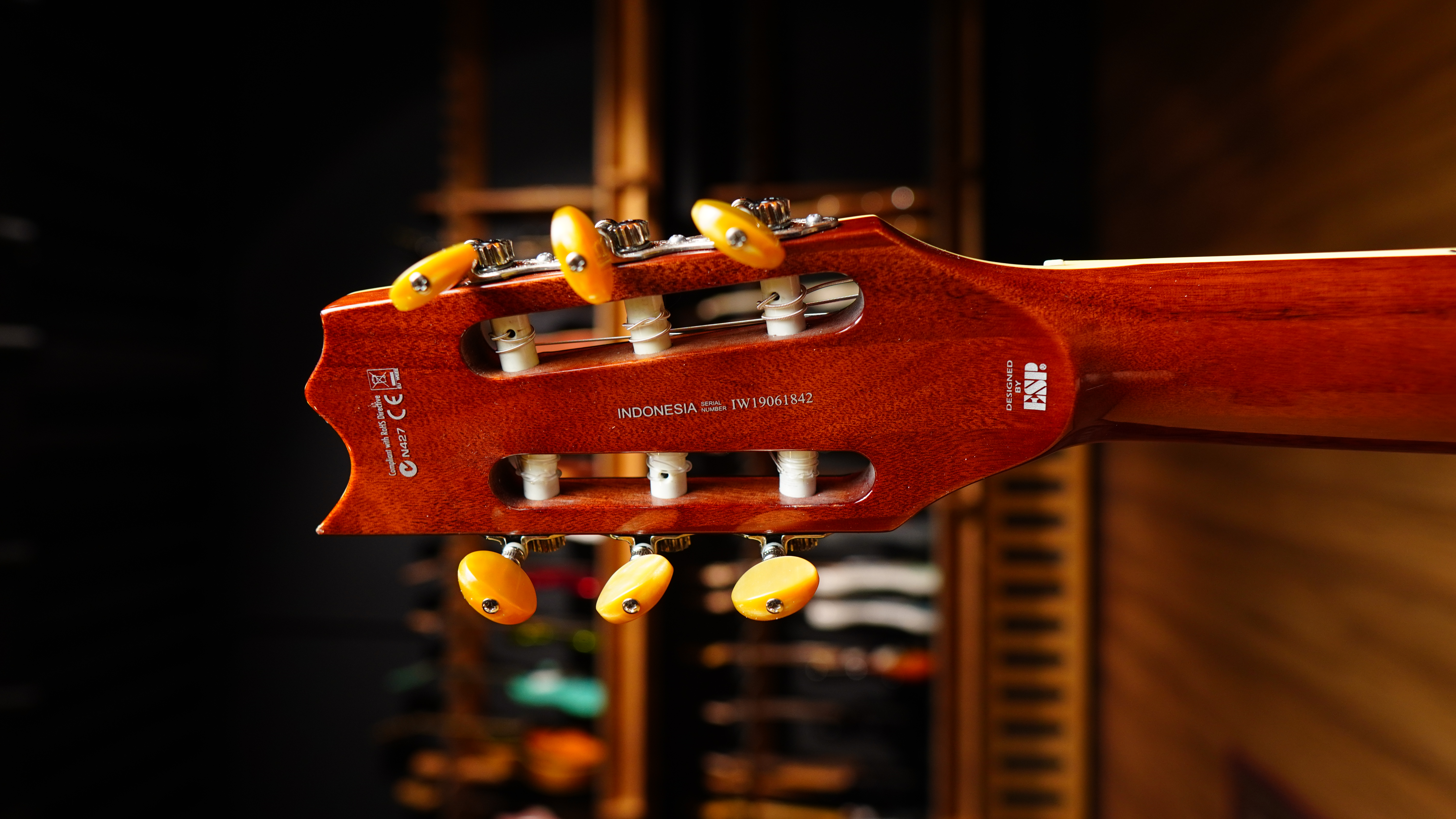 Классическая гитара LTD TL-6N Thinline Nylon String Natural - купить в "Гитарном Клубе"