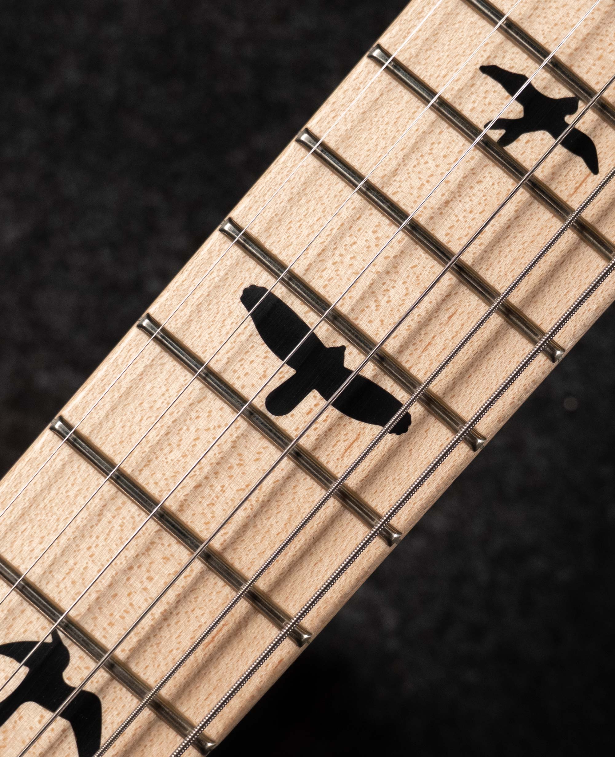 Электрогитара PRS CE24 DUSTIE WARING ZA WARING BURST - купить в "Гитарном Клубе"