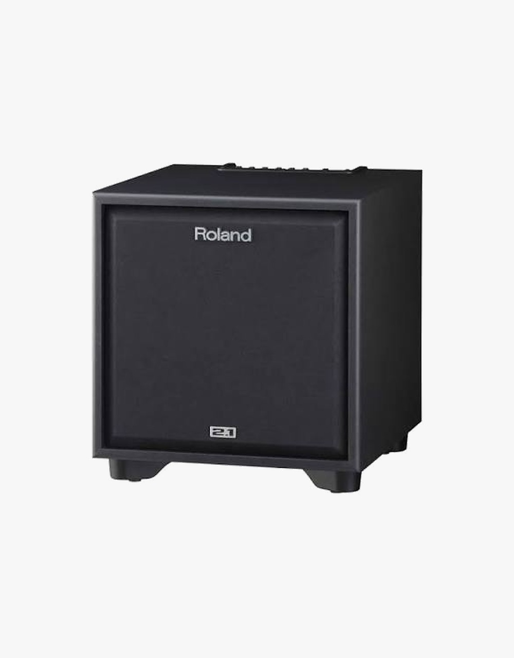 Студийный монитор Roland CUBE MONITOR CM-220 - купить в "Гитарном Клубе"