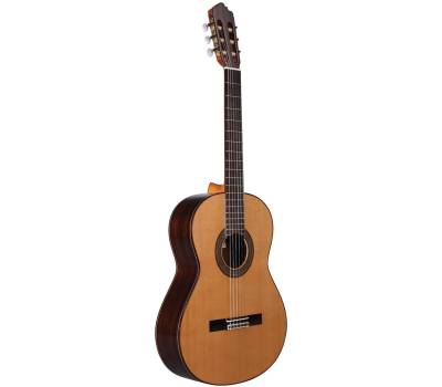 Классическая гитара Altamira N300+CASE - купить в "Гитарном Клубе"