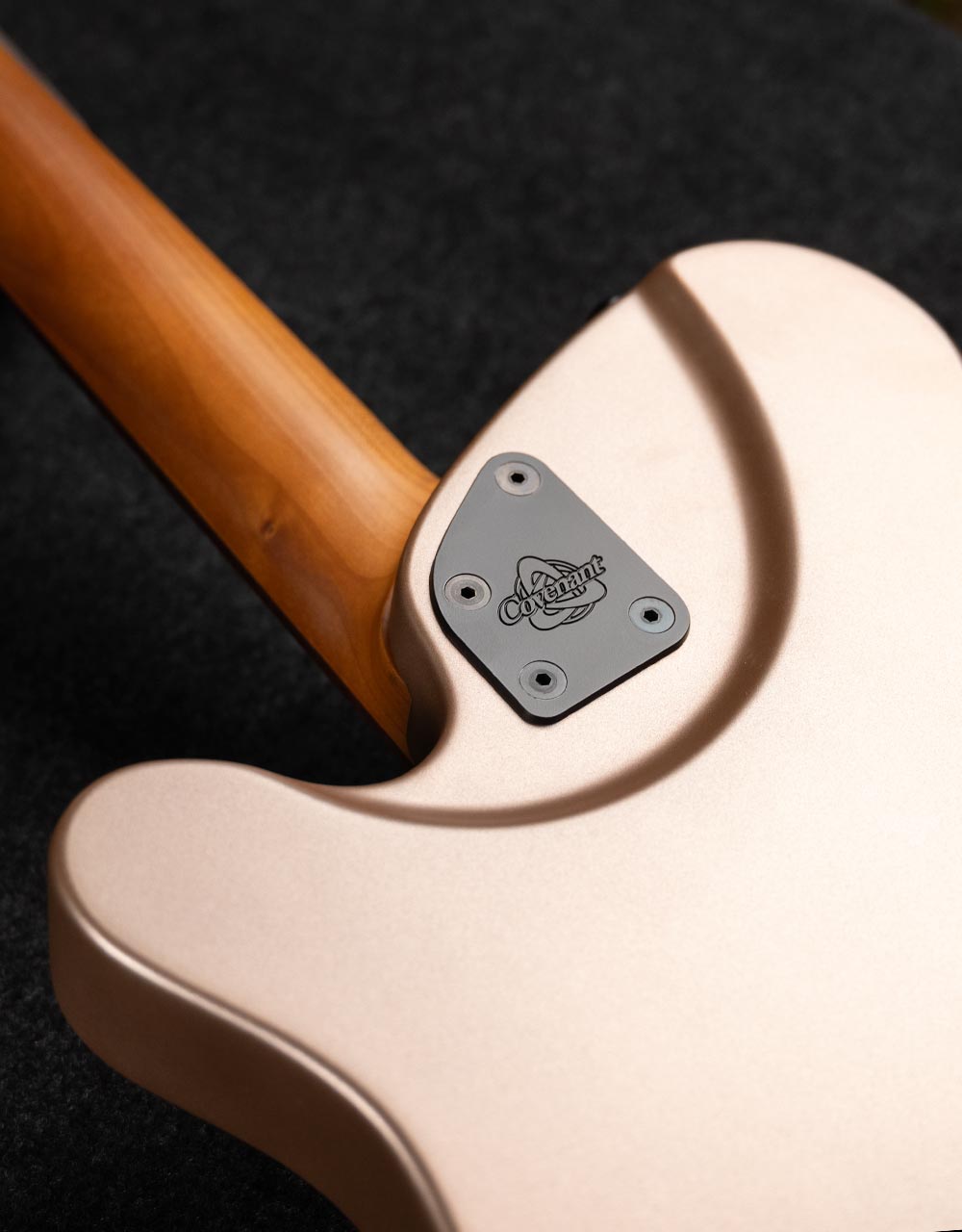 Электрогитара Covenant Custom Model Ae Mgd - купить в "Гитарном Клубе"