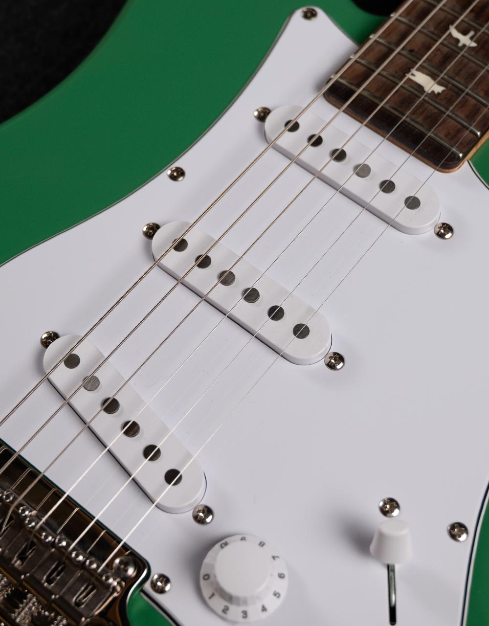 Электрогитара PRS SE SILVER SKY EVERGREEN - купить в "Гитарном Клубе"