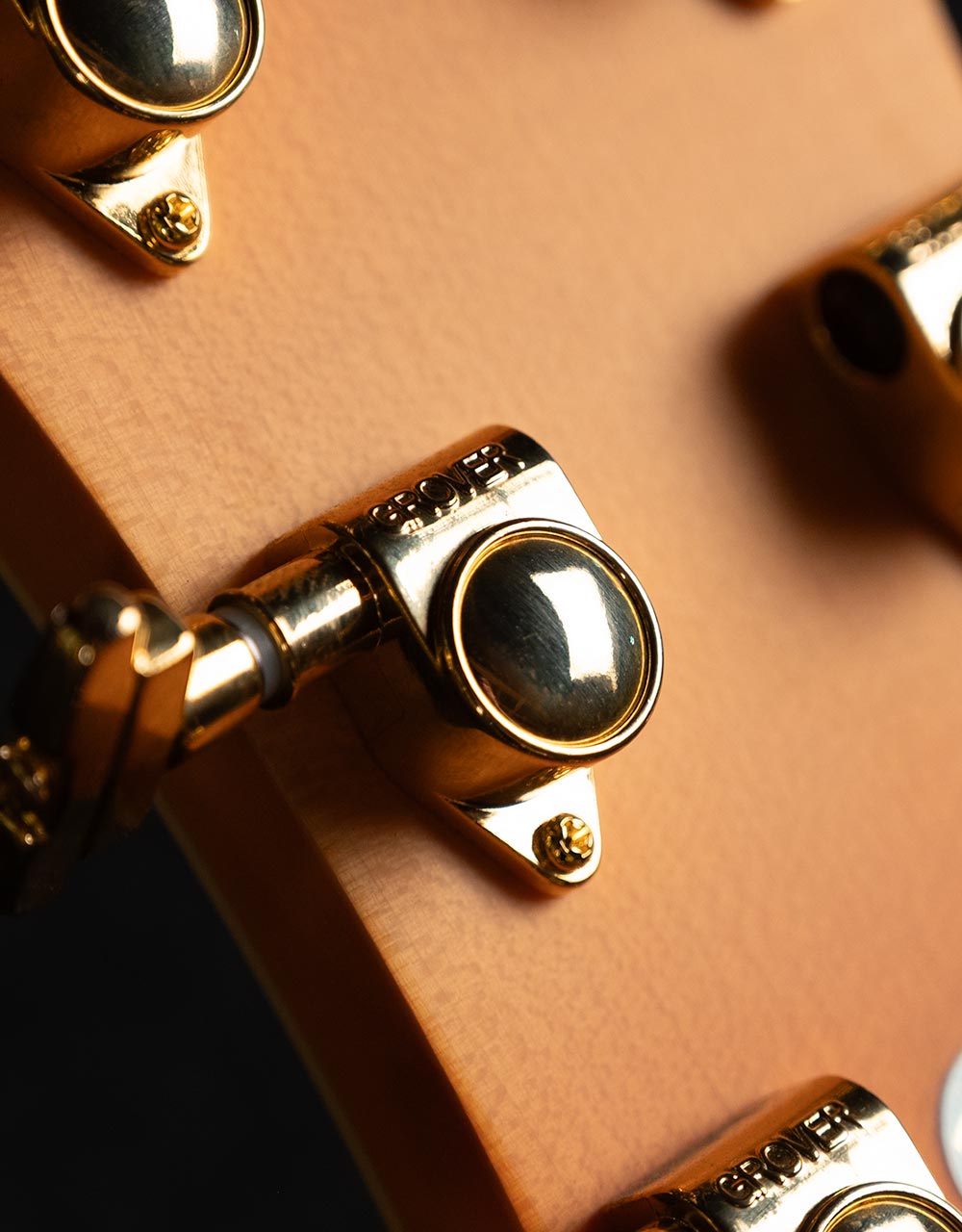 Полуакустическая гитара Peerless Jazz City - купить в "Гитарном Клубе"