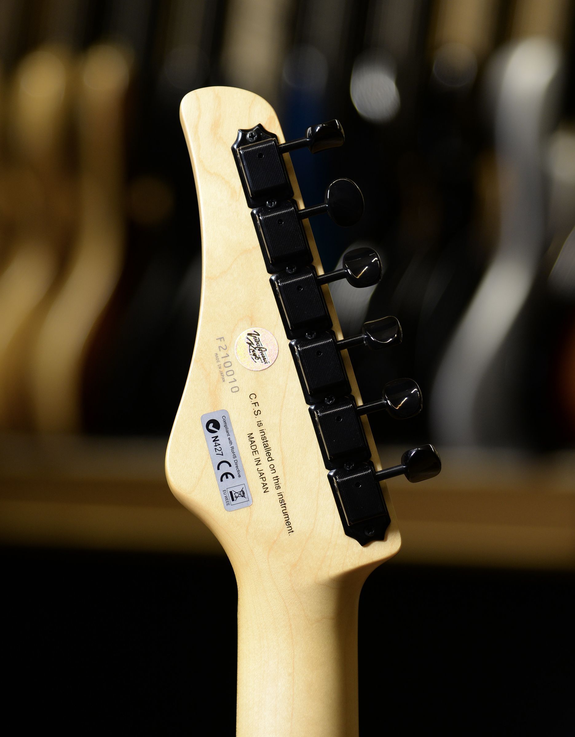 Электрогитара FGN Boundary Odyssey BOS2EW1MHH - купить в "Гитарном Клубе"