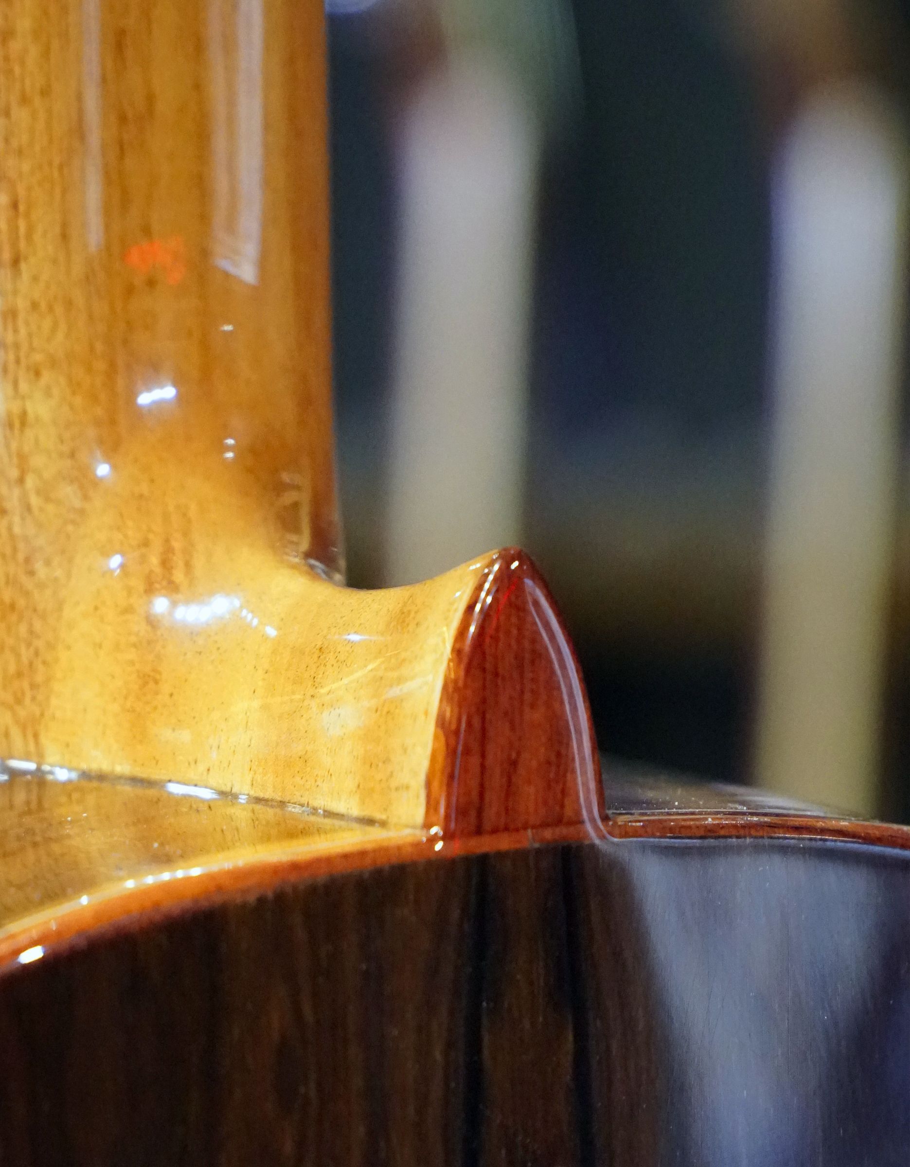 Классическая гитара Alhambra Mod. Ziricote - купить в "Гитарном Клубе"