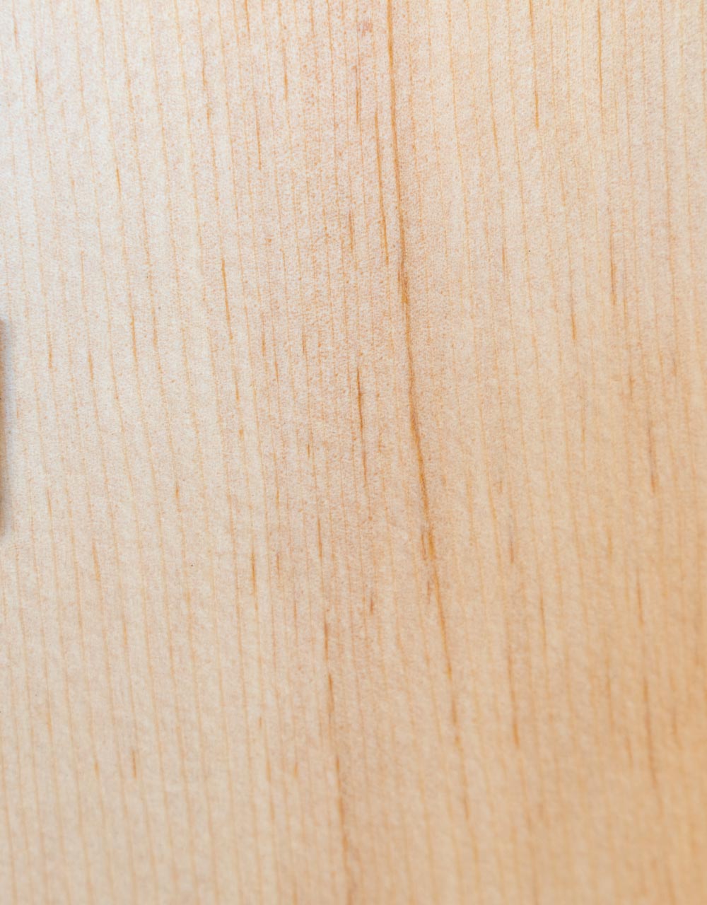 Акустическая гитара Cort Earth-Mini-WBAG-OP 3/4 - купить в "Гитарном Клубе"