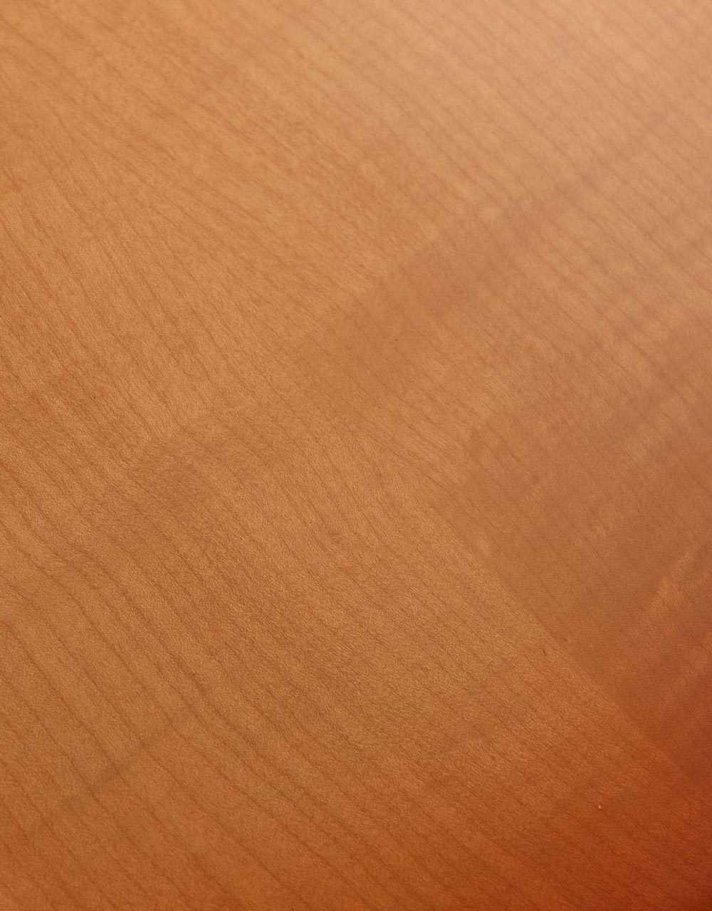 Полуакустическая гитара Peerless Jazz City - купить в "Гитарном Клубе"