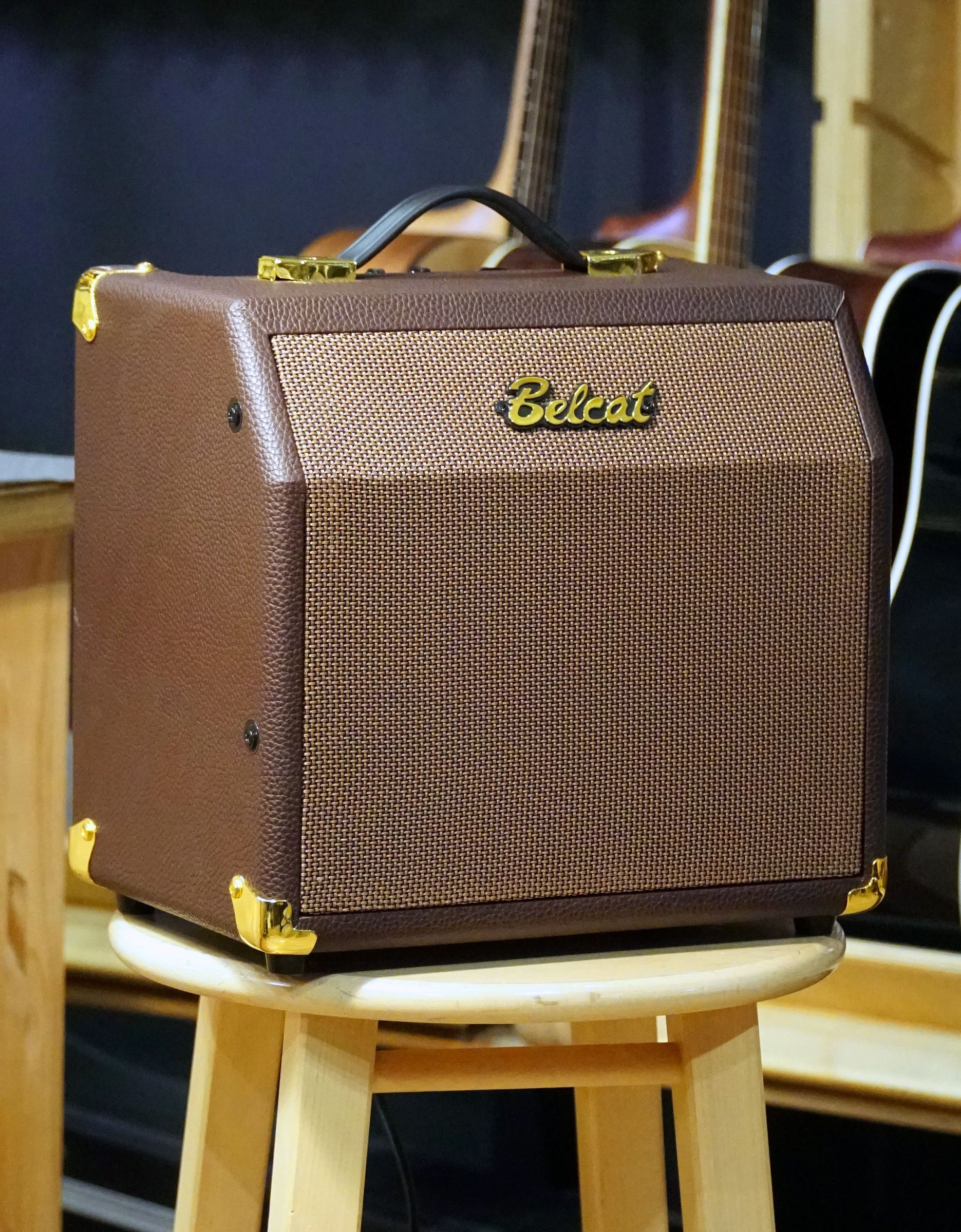 Комбоусилитель для акустической гитары Belcat Acoustic-15C, 15Вт - купить в "Гитарном Клубе"