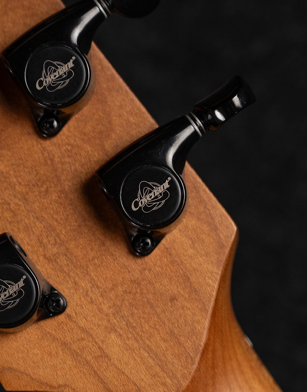 Электрогитара Covenant Custom Model Ate Bk - купить в "Гитарном Клубе"