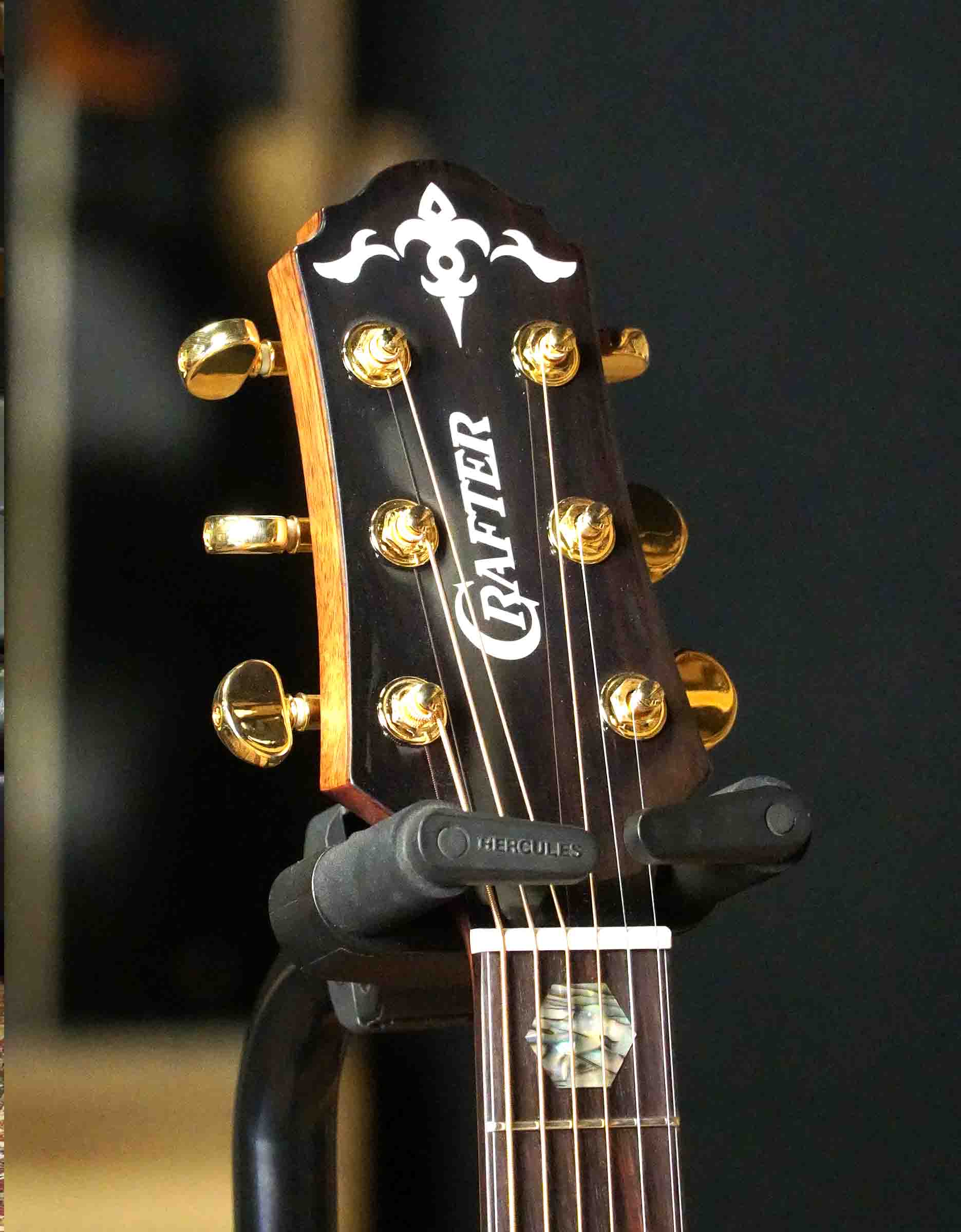 Электроакустическая гитара Crafter SRP G-36ce - купить в "Гитарном Клубе"