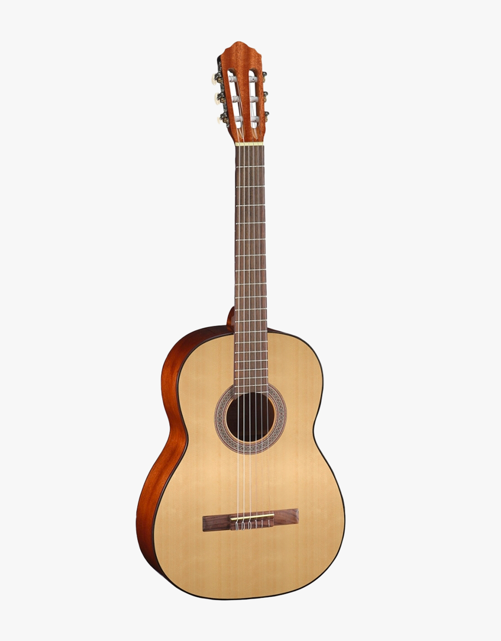 Классическая гитара Cort AC100-SG - купить в "Гитарном Клубе"