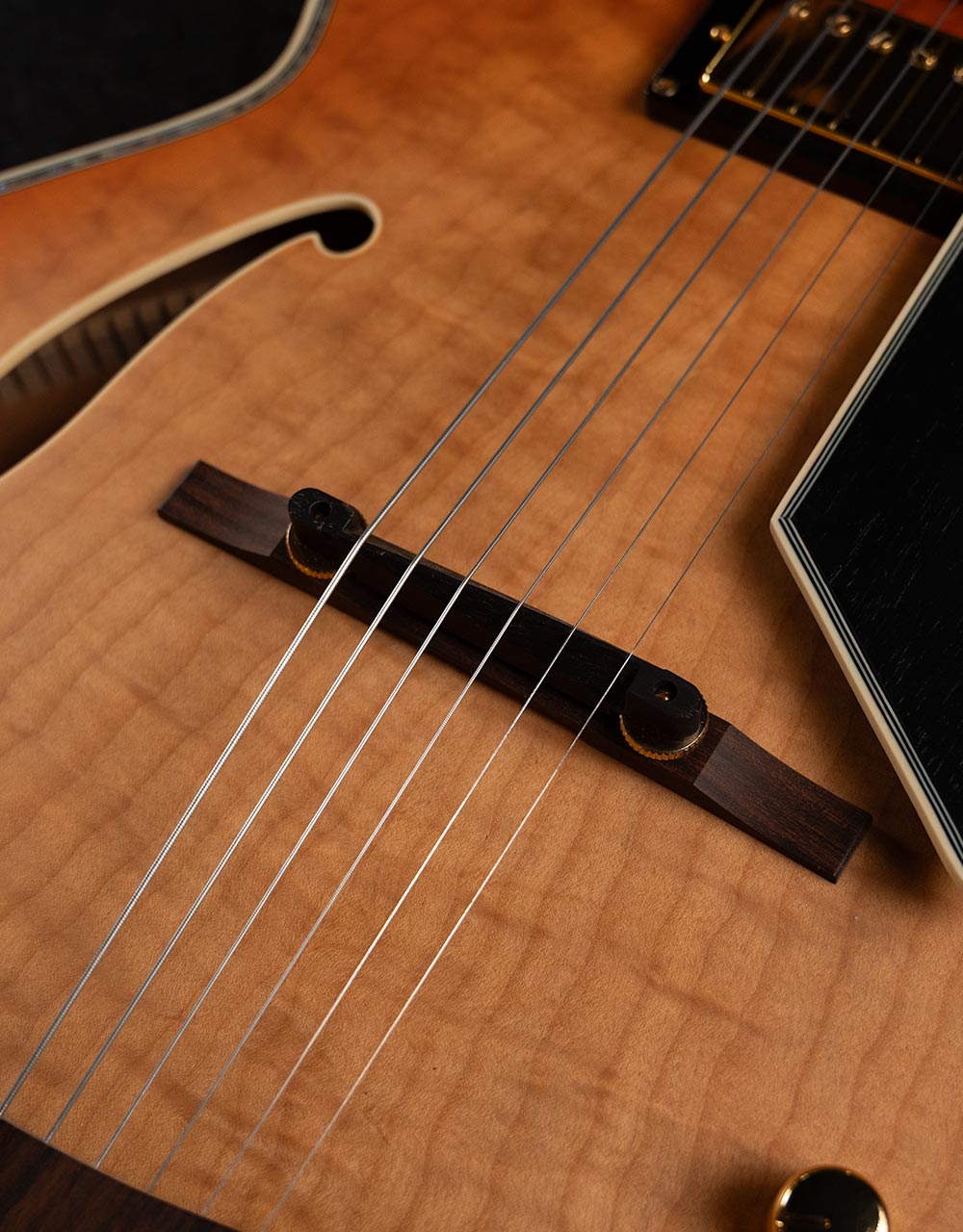 Полуакустическая гитара Peerless Jazz City - купить в "Гитарном Клубе"