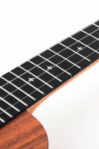 Укулеле Enya EUT-X1 Tenor - купить в "Гитарном Клубе"