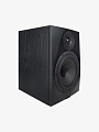 Студийный монитор Icon DT-8S - купить в "Гитарном Клубе"