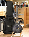 Электрогитара PRS S2 MCCARTY 594 SINGLECUT ELEPHANT GREY - купить в "Гитарном Клубе"