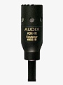Микрофон Audix ADX10FLP - купить в "Гитарном Клубе"