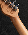 Электрогитара Mayones Aquila Emory 6 - купить в "Гитарном Клубе"