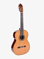 Классическая гитара Esteve 12 CD - купить в "Гитарном Клубе"
